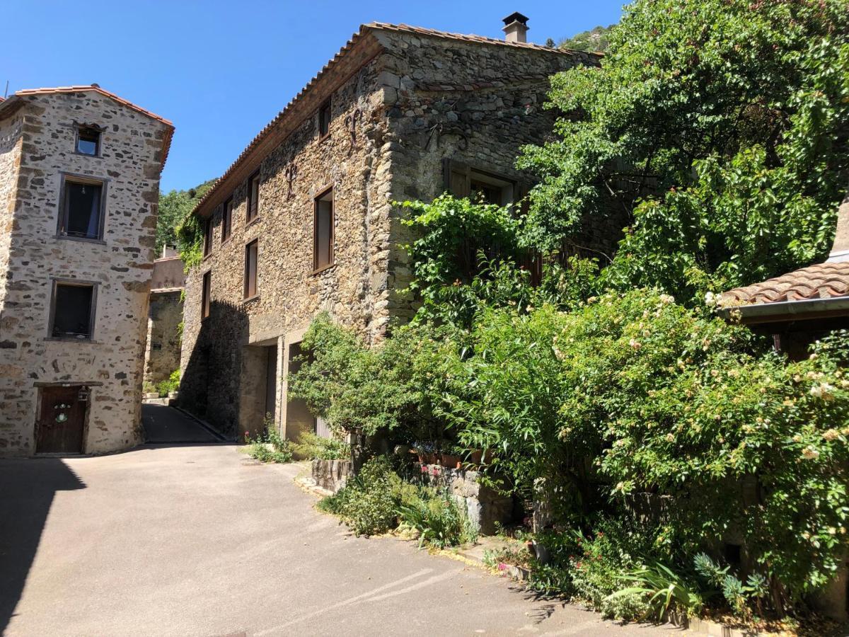 Aux Belles Vacances - Adults Only Caux-et-Sauzens Esterno foto